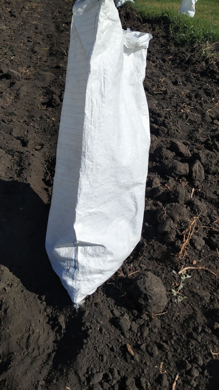 Мешок картошки