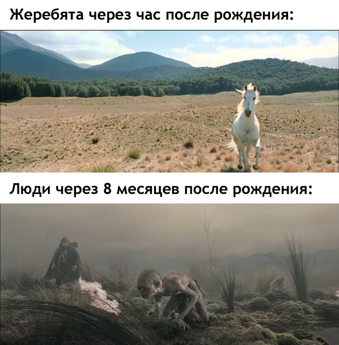 , ...  , , , , ,  ,   