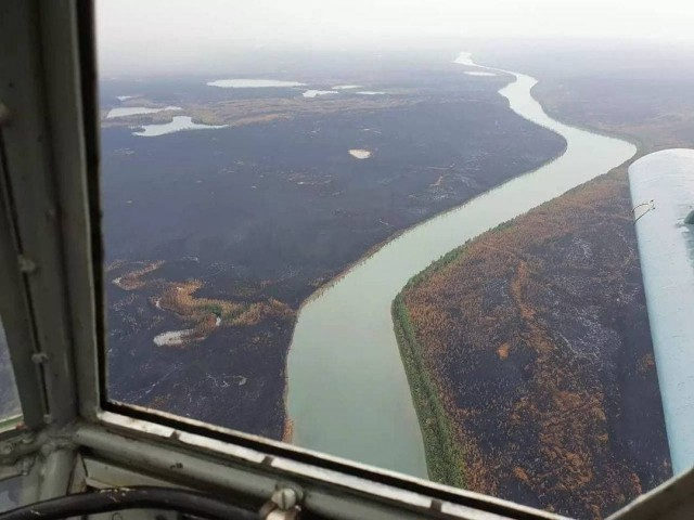 There were photos of the Yakut forests from a height, or rather what was left of them - Yakutia, Forest, Fire, Consequences, In contact with, Negative