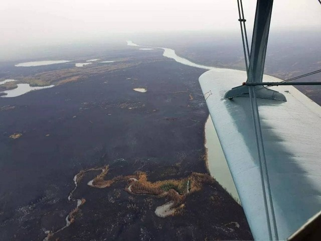 There were photos of the Yakut forests from a height, or rather what was left of them - Yakutia, Forest, Fire, Consequences, In contact with, Negative