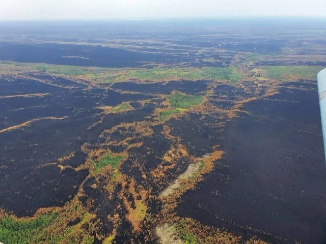 There were photos of the Yakut forests from a height, or rather what was left of them - Yakutia, Forest, Fire, Consequences, In contact with, Negative