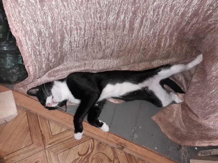 ����������� ������� � ������ ������������� .... "������" ���