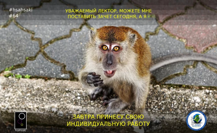 Meme about students hsahsaki 64.3: First test, and then work? Is the student wrong? - My, University, University, Institute, Teacher, Students, Offset, Cunning, Animals, , Monkey, Memes, Humor, Picture with text, Images