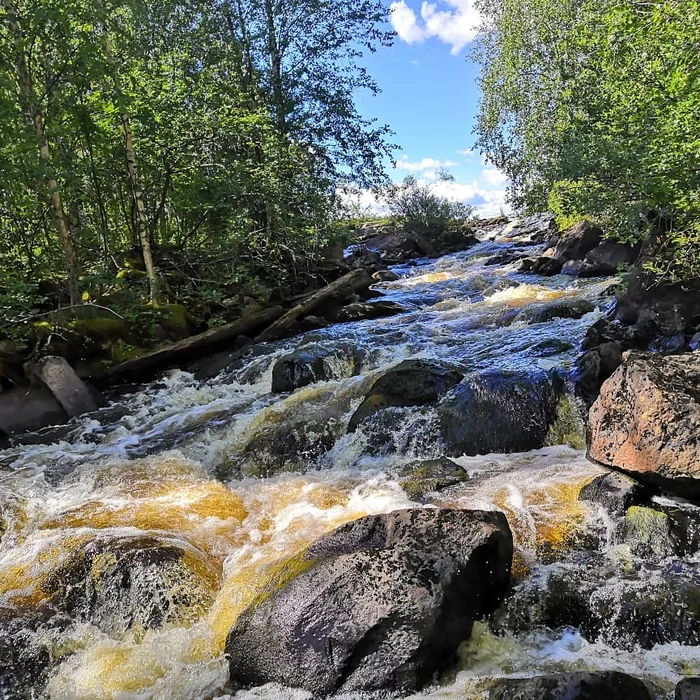 Kepa river. July 2021 - My, The photo, Nature