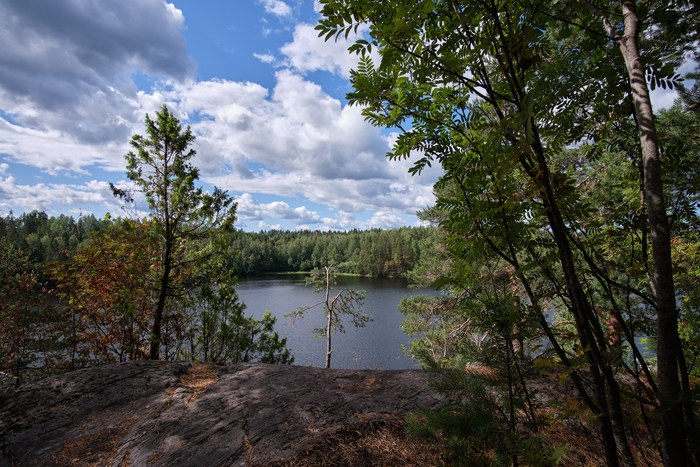 Озеро ястребиное Фотография, Озеро, Ястребиное озеро, Лес, Пейзаж, Длиннопост