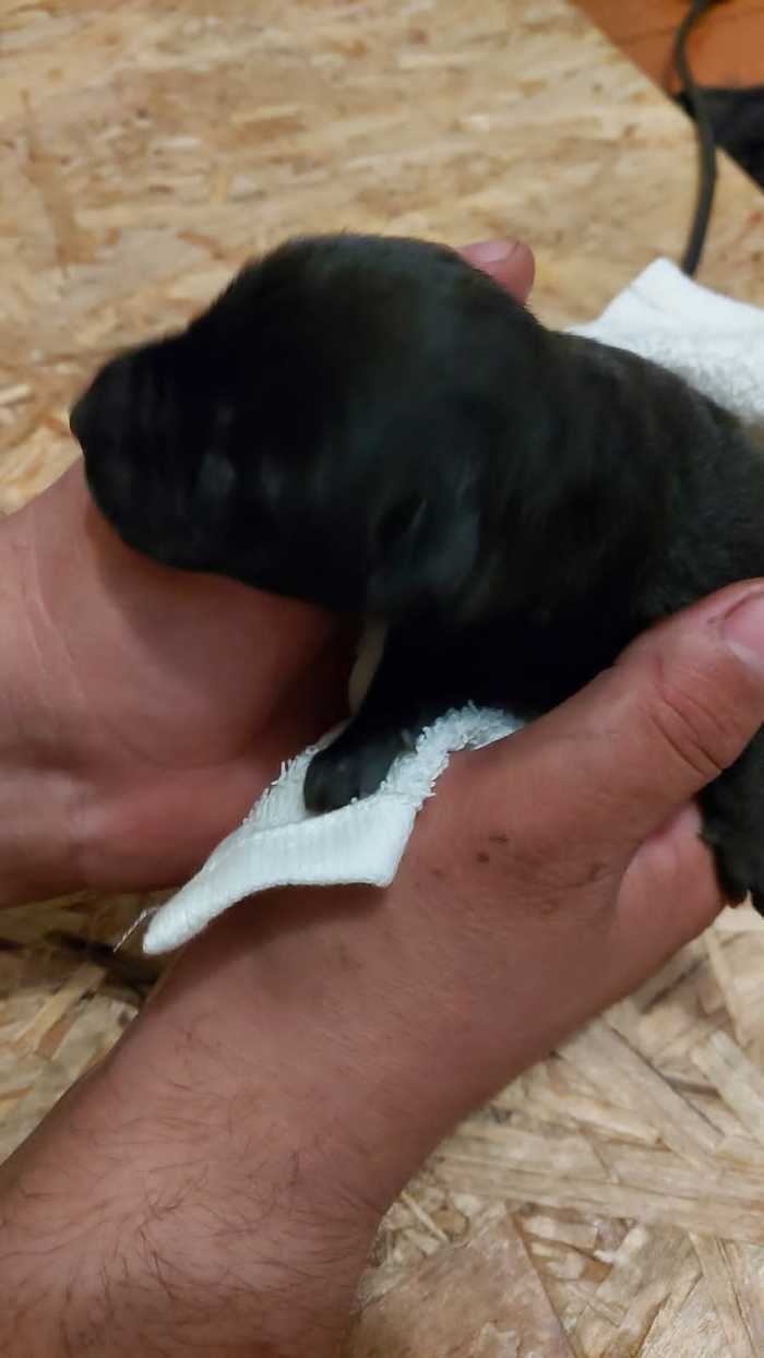 :     *  3 : , , , , 