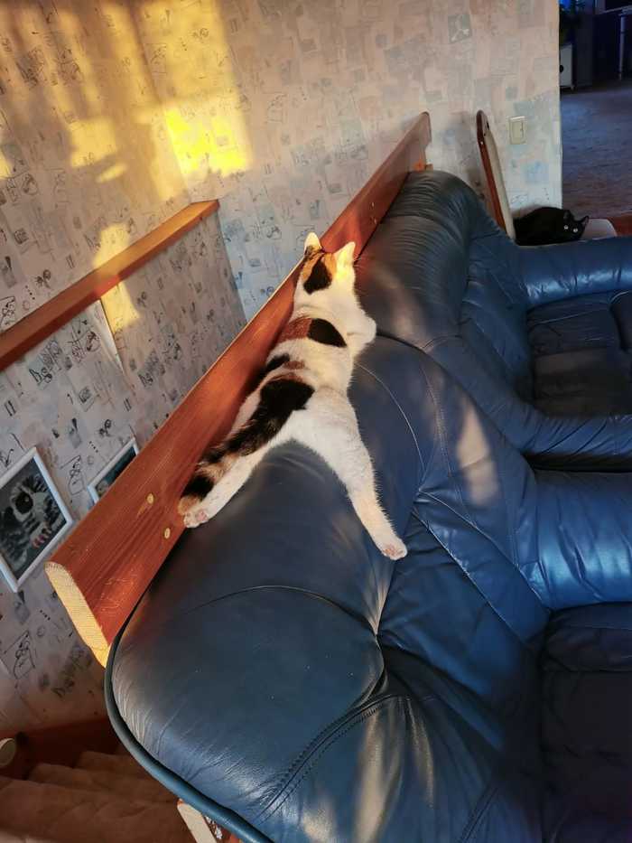 ,  , 