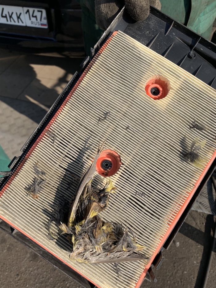 ��� ����� ���� � ��������� �������