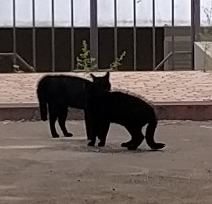 ��� �� �����?