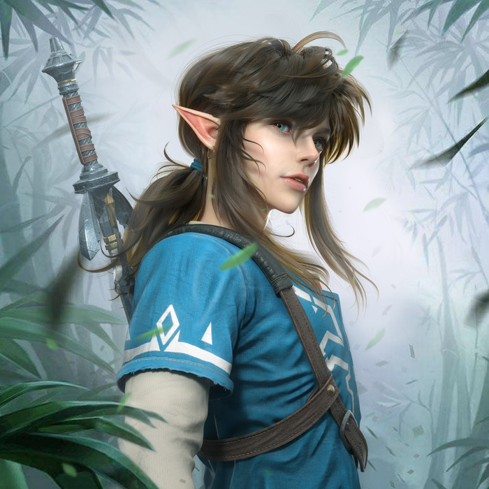  , , Link, The Legend of Zelda