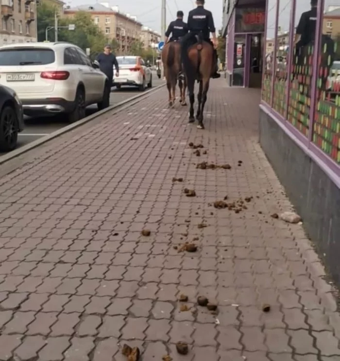 You don't like scooters, you say? - The street, Police, Horses, Feces, Negative