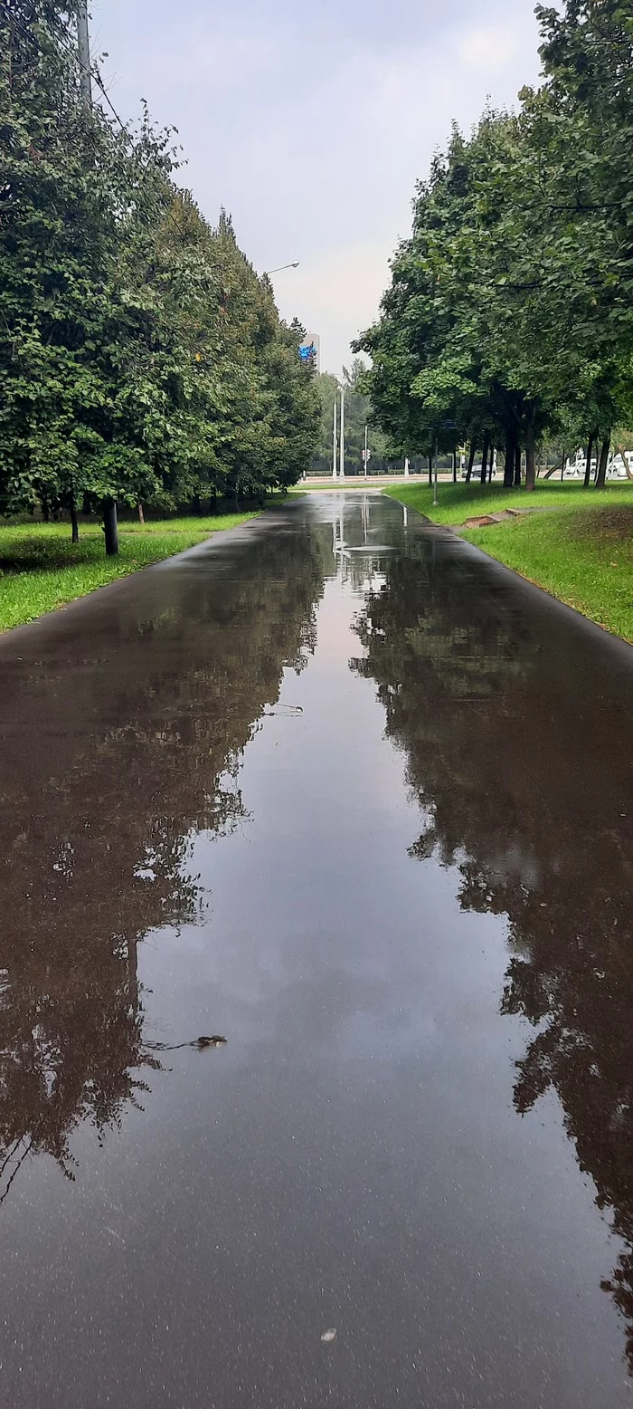 After rain on Thursday - My, Summer, Rain, Moscow, Longpost