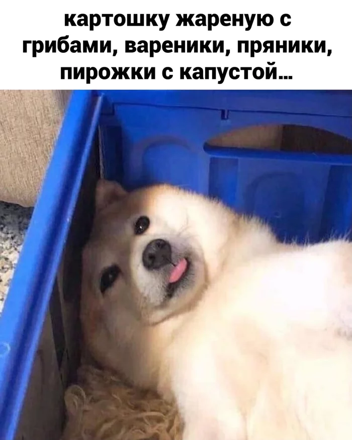 163051280119018996.webp