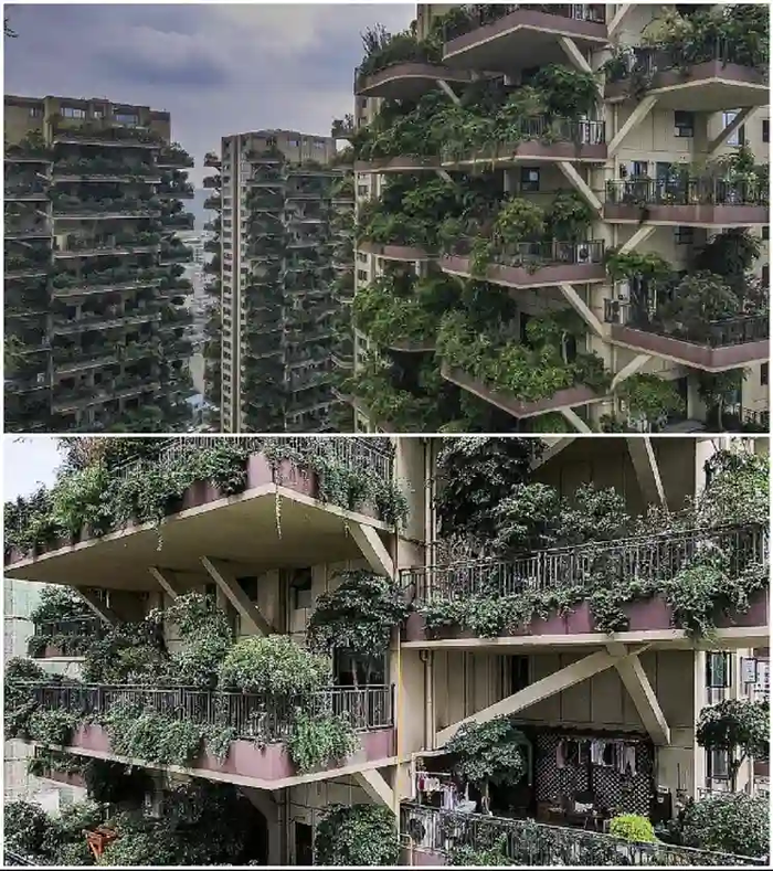 зачем китайцам русский лес. 1630527980247824342. зачем китайцам русский лес фото. зачем китайцам русский лес-1630527980247824342. картинка зачем китайцам русский лес. картинка 1630527980247824342. зачем китайцам русский лес. 1630527980247824342. зачем китайцам русский лес фото. зачем китайцам русский лес-1630527980247824342. картинка зачем китайцам русский лес. картинка 1630527980247824342.