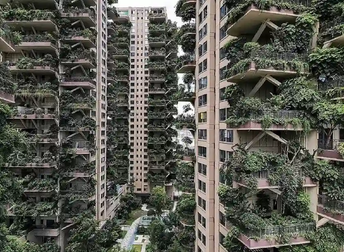 зачем китайцам русский лес. 163052803225788449. зачем китайцам русский лес фото. зачем китайцам русский лес-163052803225788449. картинка зачем китайцам русский лес. картинка 163052803225788449. зачем китайцам русский лес. 163052803225788449. зачем китайцам русский лес фото. зачем китайцам русский лес-163052803225788449. картинка зачем китайцам русский лес. картинка 163052803225788449.