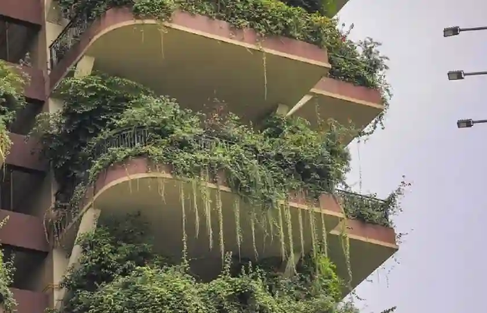 зачем китайцам русский лес. 1630528036290669795. зачем китайцам русский лес фото. зачем китайцам русский лес-1630528036290669795. картинка зачем китайцам русский лес. картинка 1630528036290669795. зачем китайцам русский лес. 1630528036290669795. зачем китайцам русский лес фото. зачем китайцам русский лес-1630528036290669795. картинка зачем китайцам русский лес. картинка 1630528036290669795.