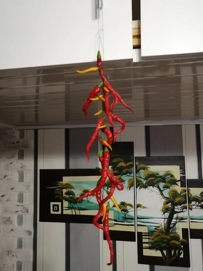 Trying to dry the pepper - My, Hot peppers, Drying, Longpost