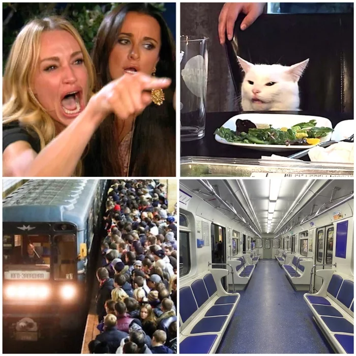 The moment when you first entered the subway car on September 1 - Metro, Crush, Two women yell at the cat