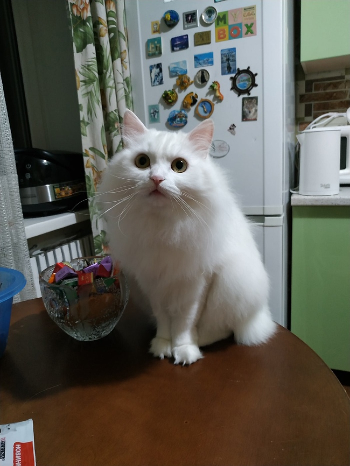    , ,  , ,  ,  , , ,  ,  , 