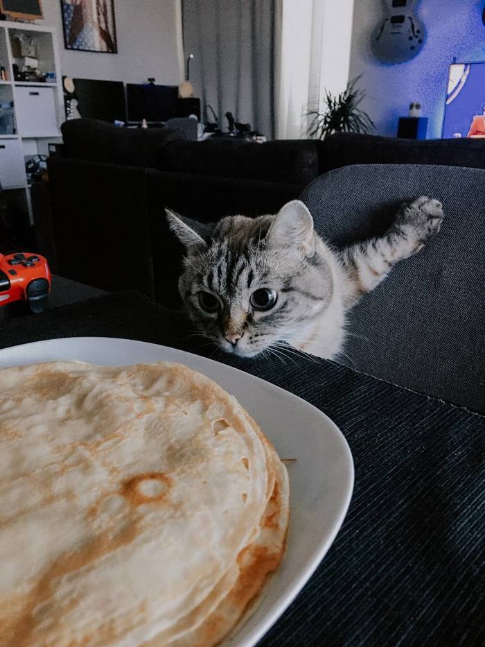 Мумчик на инспекционной волне