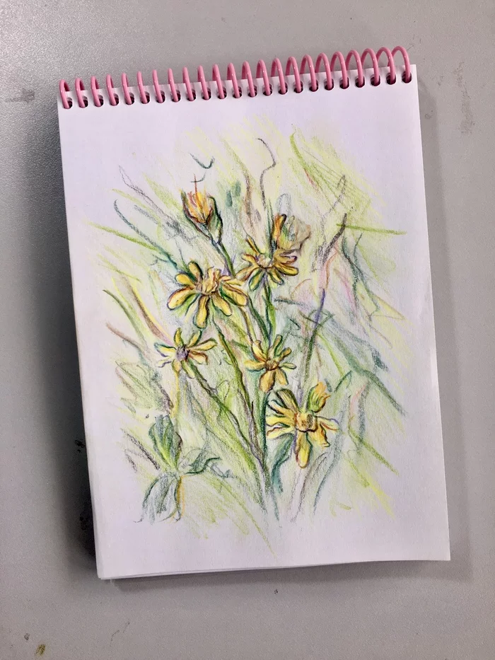 Small sketch - My, Sketch, Flowers, Sketchbook, Art, Summer, Heat, The sun, Longpost