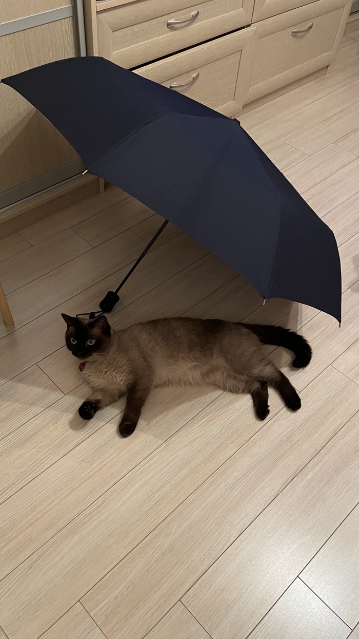 Пляжный отдых