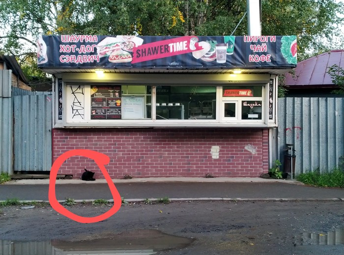 ����, ����, ������!