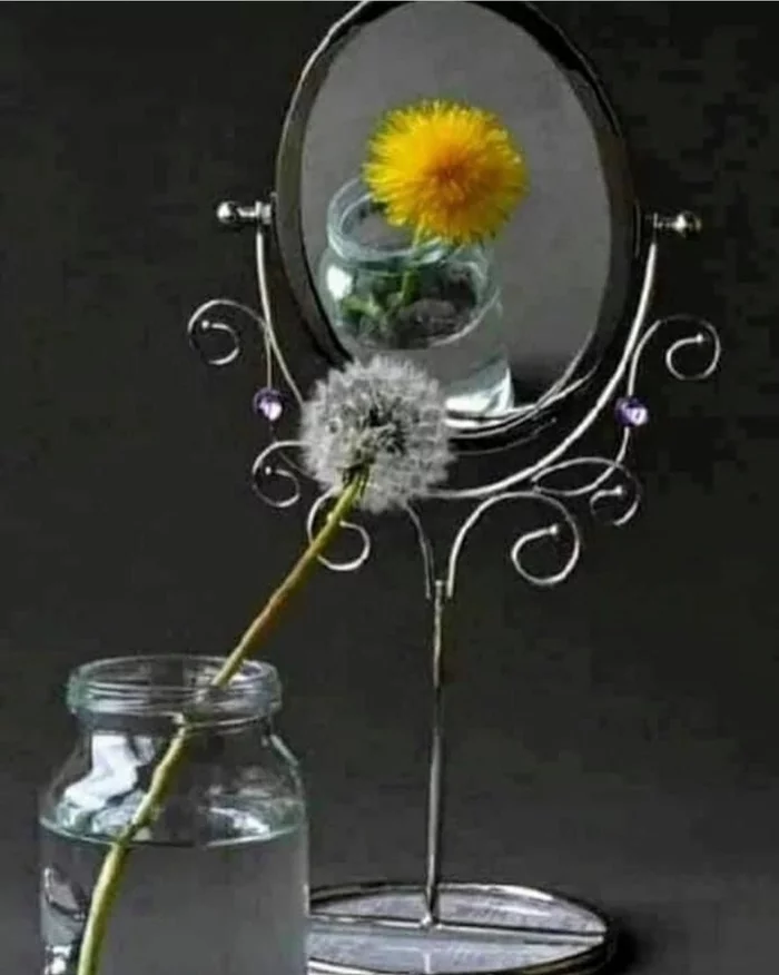 Subjective perception - Dandelion, Mirror, Old age, Youth, Compression