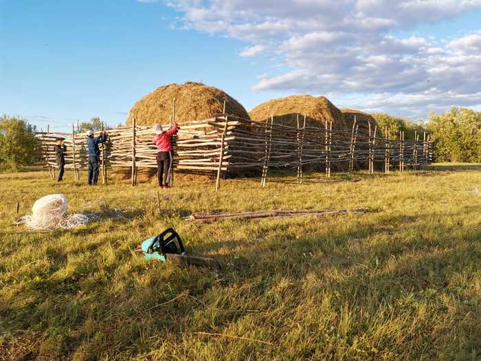 Moments of haymaking in the last 1-2 years - My, Haymaking, Yakutia, Rick, Video, Longpost