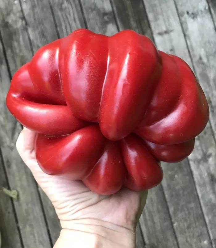 Brutal bell pepper - My, Vegetables, Funny, Bell pepper