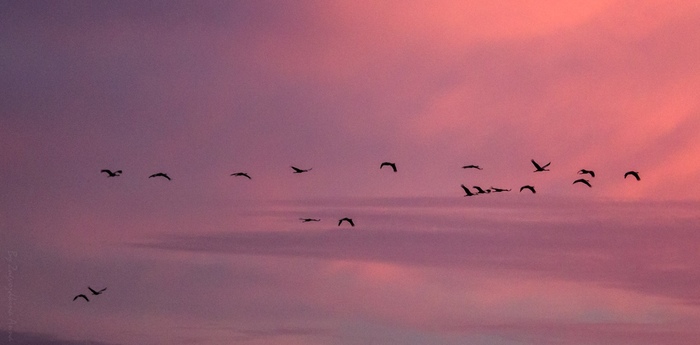 �����, �������� � �����: ���������� ��������� � ��������