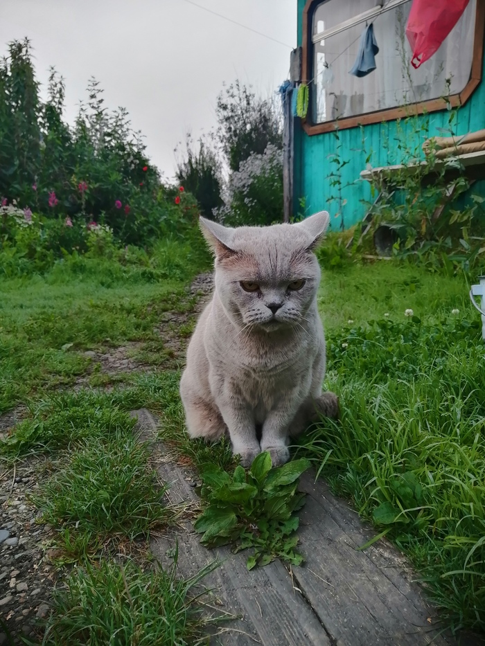 Ох уж это утро