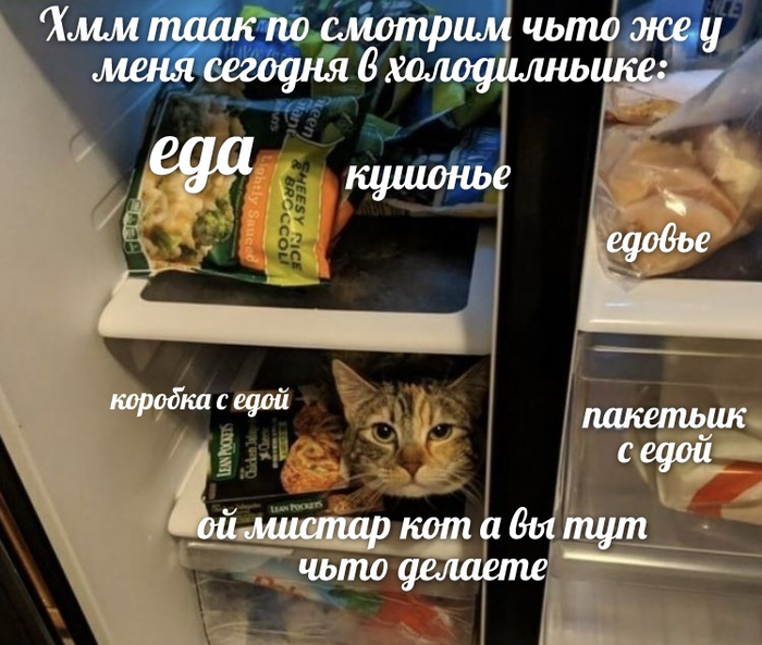        Dank Memes, , , 