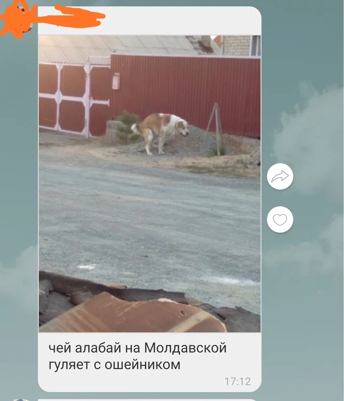In one of the local chats - Dog, Screenshot