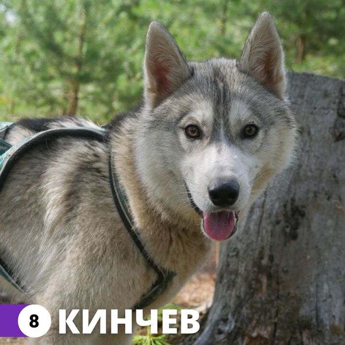 что делать с гришей. Смотреть фото что делать с гришей. Смотреть картинку что делать с гришей. Картинка про что делать с гришей. Фото что делать с гришей