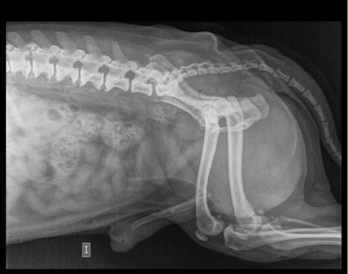 �� ������ ����...