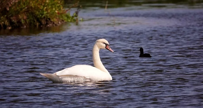 Pictures of Holland - My, Netherlands (Holland), Nature, Beginning photographer