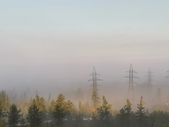 Осень - Моё, Туман, Осень, Дерево, Тундра, Норильск, Мобильная фотография