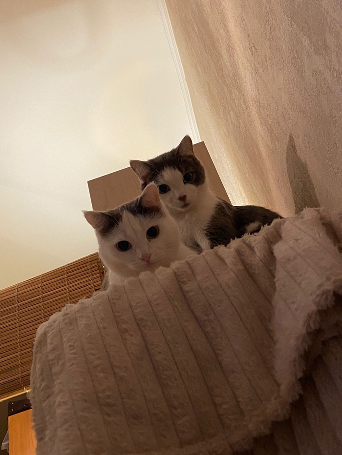 Спать собрался?!