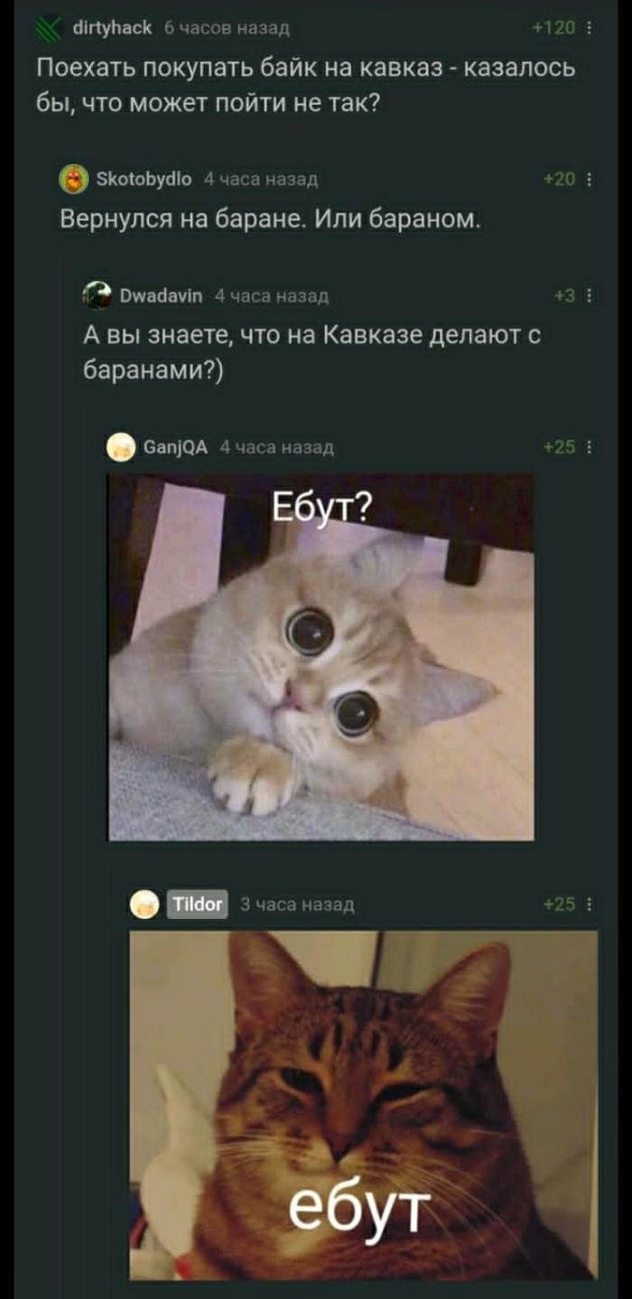 ��,��,�� -��� ������ !