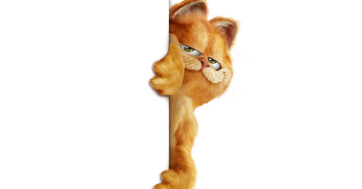 Выглядывающий кот