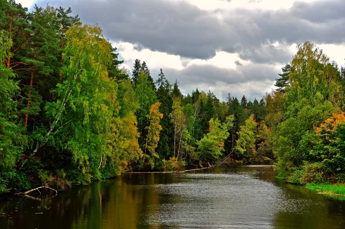 Cool September. - My, Water, Подмосковье, The photo, Autumn, Nature, Landscape, Nikon d90