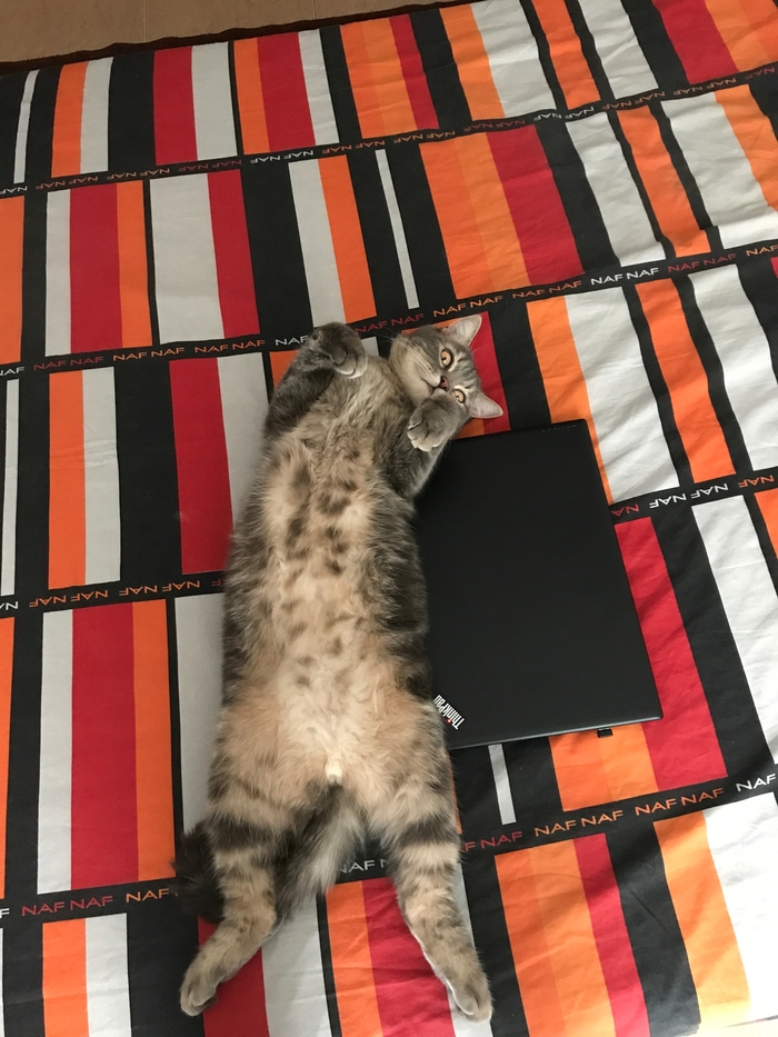  , , 