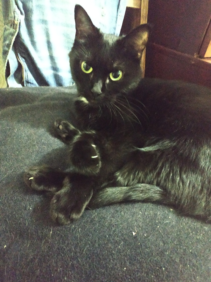 ����������)