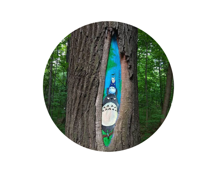 Рисунки на деревьях в парке Фили