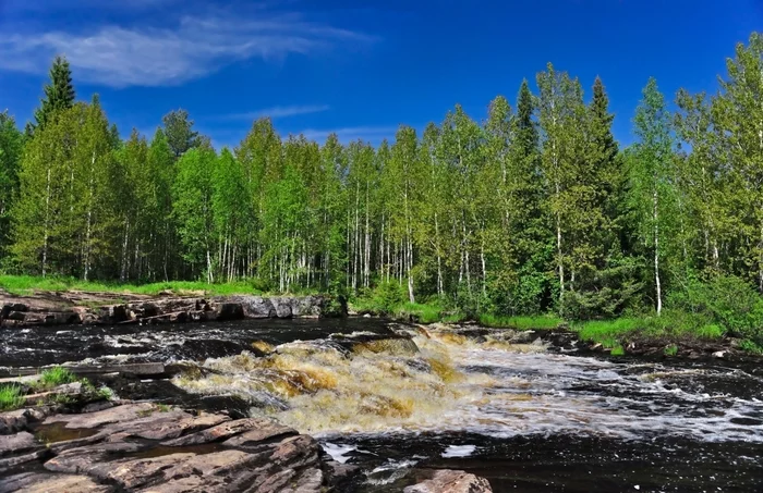 То буйная, то тихая... северная Шуя - Моё, Вода, Фотография, Карелия, Природа, Водный туризм, Водный поход, Nikon d90, Длиннопост