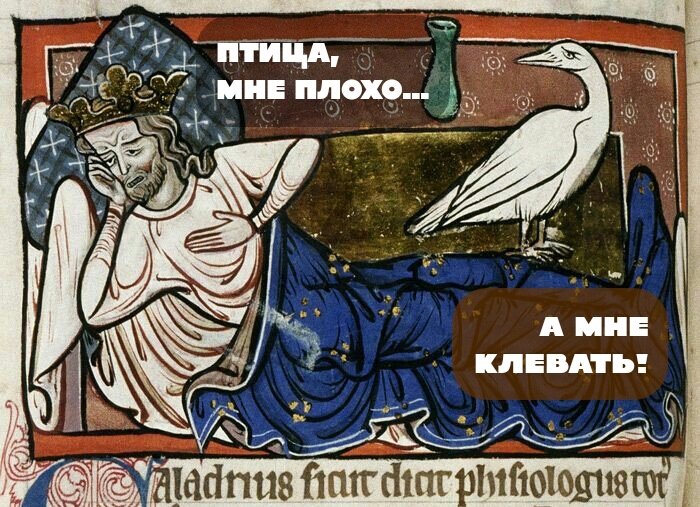 Птице пофиг...