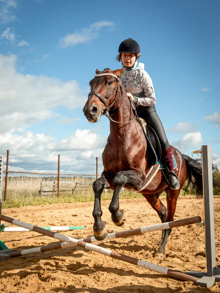 Jumping - My, Horses, Jumping, Horseback riding, Longpost, The photo, Horseback Riding