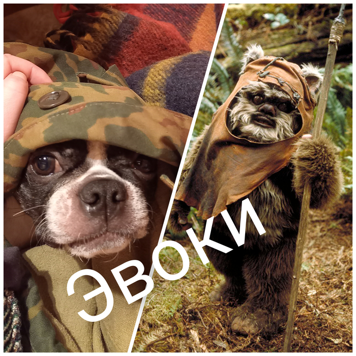 Луна Священная рядом