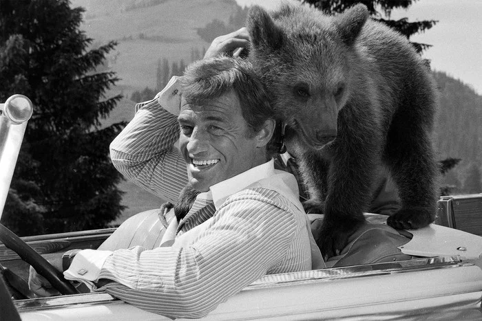 Jean Paul Belmondo has died... - My, Actors and actresses, France, Jean-Paul Belmondo